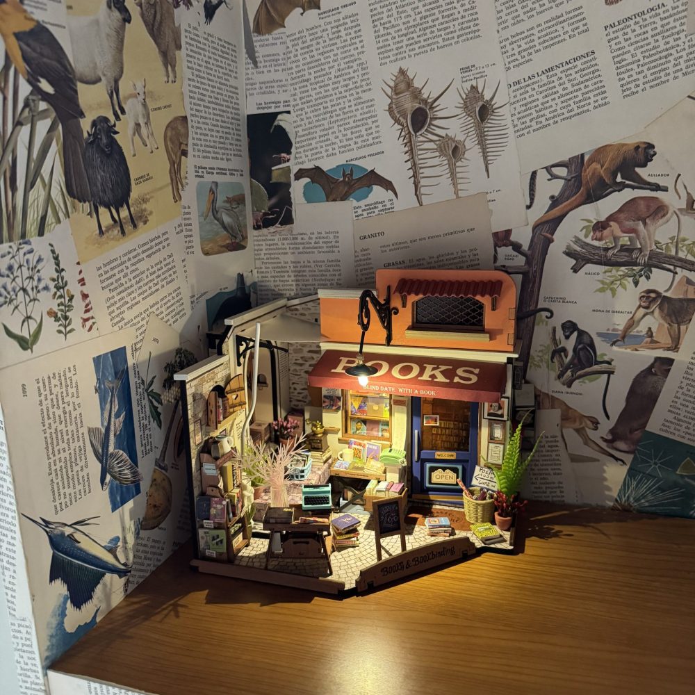 image00019
